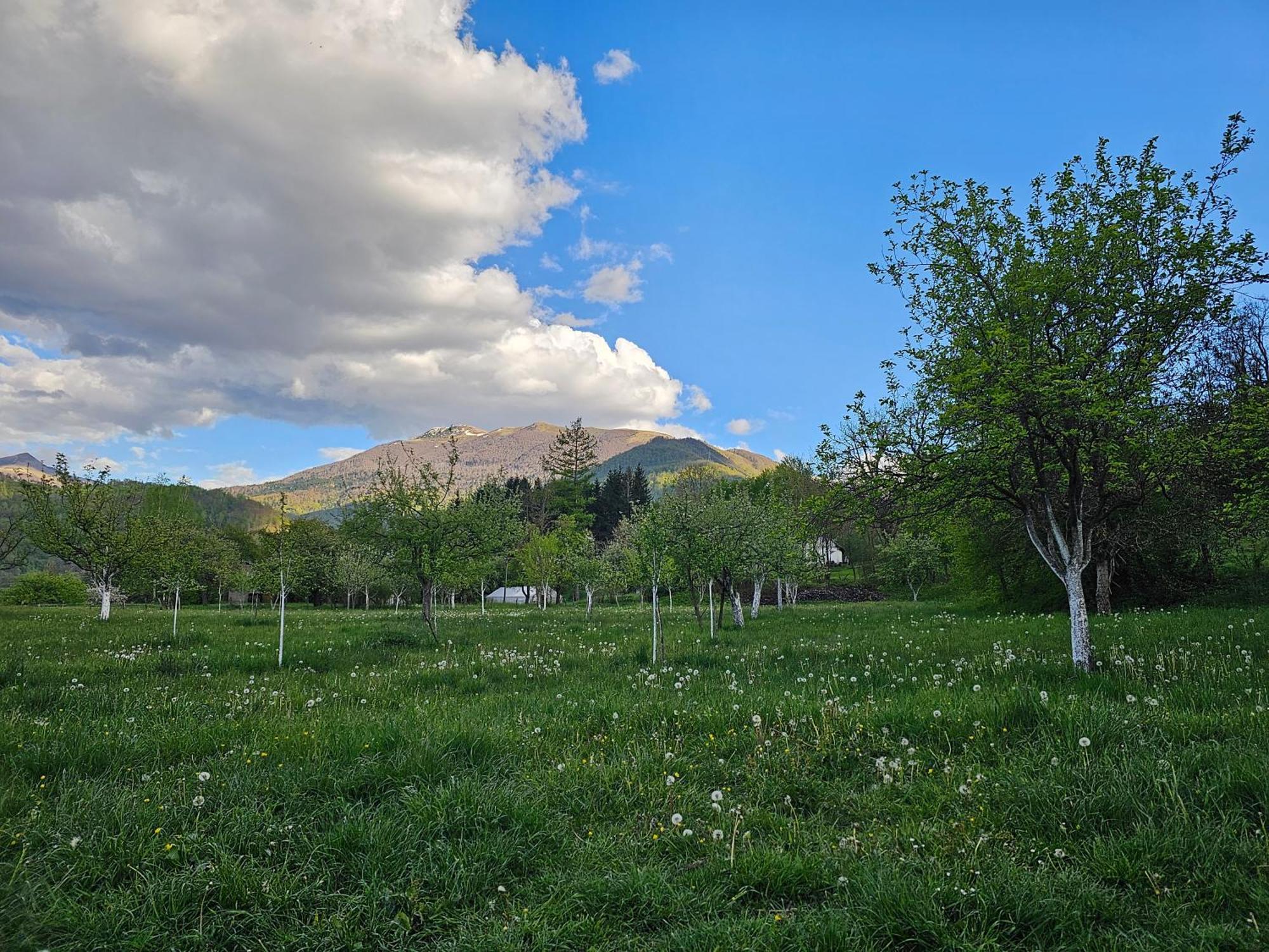 Traditional House Srna Мойковац Экстерьер фото